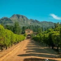 Waterford Estate: A casual, luxe afternoon in Stellenbosch wine country