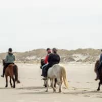 Where to go horse riding by the sea this summer