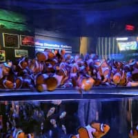 Where to cool down indoors in Cape Town this summer