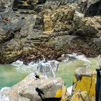 7 day trip ideas for instant holiday energy