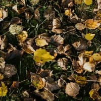 5 quick overnight cabins near Cape Town for a 24-hour nature reset