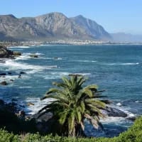 The perfect summer day: what to do on a day trip to Hermanus