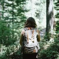 4 short hikes under 45 minutes with big views in South Africa