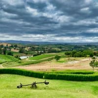 Wine farms with real adventure activities in the Western Cape