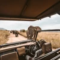 A gentle guide to your first safari