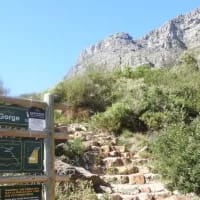 Base jumper dies in Table Mountain crash