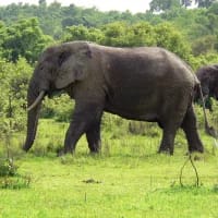 Africa in a new light: Green season destinations worth reconsidering