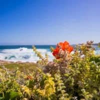Across South Africa: Five easy ways to spend a day outdoors