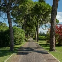 Why green landscapes in South Africa transform experiences and mental health
