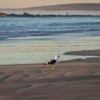 City vs. coast: how to decide which one works best for your summer getaway