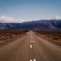 If you loved this, you’ll love that: South African edition