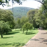 Nature experiences that fit around a city stay
