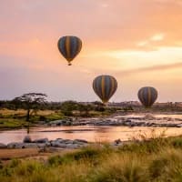 Five immersive wildlife experiences that skip full-day game drives