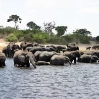 The conservation corridors reconnecting Africa’s wildlife and why they matter to travellers