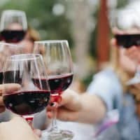 Short on time? These wine farms are perfect half-day stops
