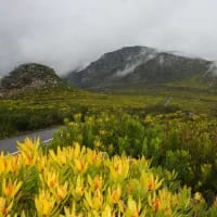 5 nature spots perfect for a Sunday morning walk
