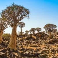 South Africa’s natural oddities you never knew existed