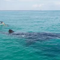 Active adventures in Africa that go beyond hiking and safari