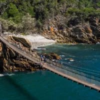 Tsitsikamma’s famous suspension bridge to close for rebuild until June 2026