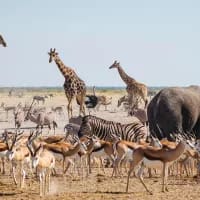 Namibia’s national parks just got a major upgrade