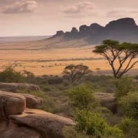 Kruger rebounds after floods with rare safari conditions this May