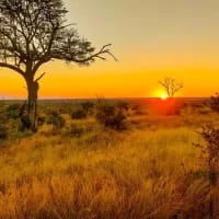 Why slow travel is taking over South Africa right now