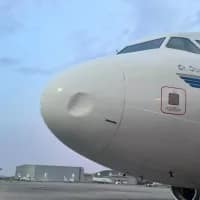 Five bird strikes in 2026 put Abuja under fresh scrutiny