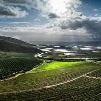 Why Swartland’s creative towns deserve your next Cape weekend