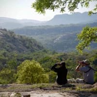 Small reserves, big impact: How private conservation is shaping South Africa