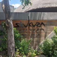 Small airports, big adventures: Regional flights that unlock South Africa’s best escapes