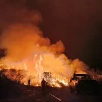 From ash to abundance: How fire shapes biodiversity in South Africa