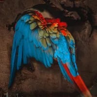 Conservation victories you should know about this week