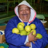 Autumn on a plate: Discover Piketberg’s farm-to-table flavours