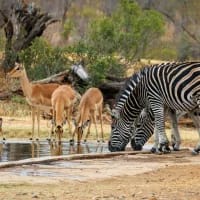 Kruger’s next century begins with landmark community benefit agreement