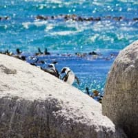 Table Mountain National Park announces winter 2026 operating hours