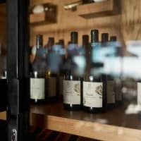 Alexander Vineyards pioneers direct-to-consumer wine exports from South Africa