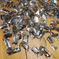 Man arrested after allegedly smuggling 150 venomous scorpions through Cape Town airport