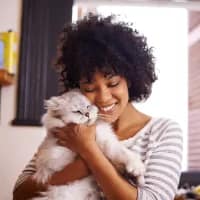 World Microbiome Day: The invisible ecosystem you share with your pet