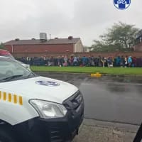 SPCA steps in to protect animals amid rising immigration tensions in Cape Town