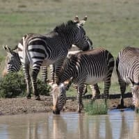7 underrated SANParks that deserve a spot on your bucket list