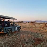 Safari with kids: Everything parents should know before booking