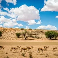 Why winter might be the best time to explore South Africa