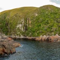 UPDATE: Final refurbishment will briefly close Tsitsikamma’s iconic suspension bridge