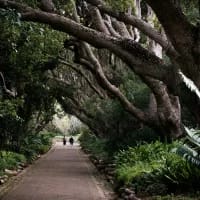 Beyond Kirstenbosch: South Africa’s botanical gardens worth planning a trip around