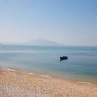 Changshan Islands added to UNESCO World Heritage Site for migratory birds