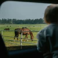 The toddler road trip survival guide: Smart ways to enjoy the journey