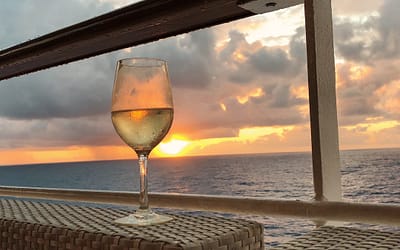 I’ve never been on a cruise, am I an outlier?