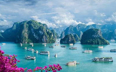 What We’re Reading Oakland changes airport name to ‘San Francisco Bay Oakland International’ despite San Francisco trademark lawsuit  This Is Florida’s Most Expensive Vacation Destination — Here’s How to Plan a Luxurious Stay  Delta Adds 7 New Europe Routes for 2025—Including a First-Ever Flight to This Sicilian Coastal Town  10 Delicious Foods That Fight Joint Pain & Inflammation  When does ‘old age’ begin? Public perception may be skewing later