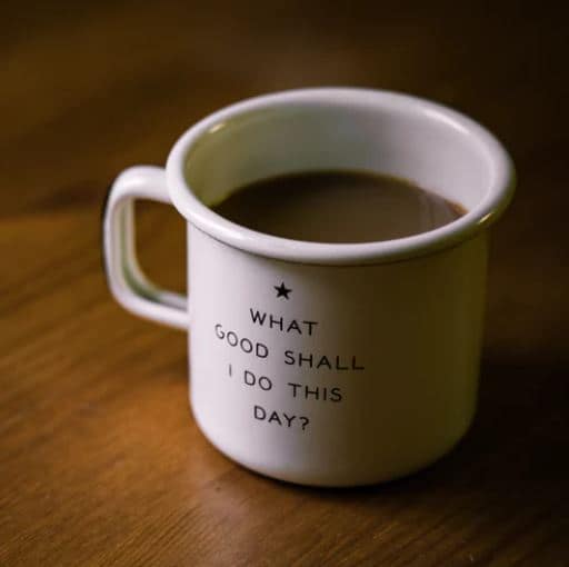 Benefits of Volunteering for Seniors