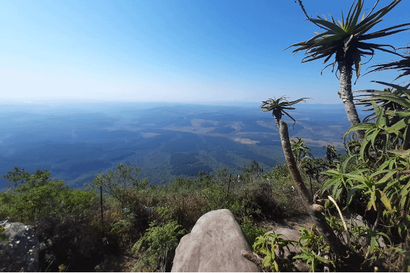Mpumalanga for nature lovers
